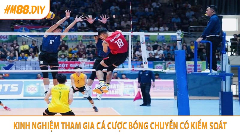 Kinh nghiệm tham gia cá cược bóng chuyền có kiểm soát