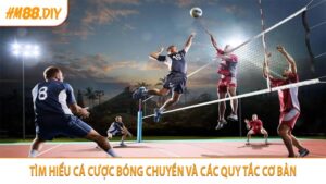 Tìm hiểu cá cược bóng chuyền và các quy tắc cơ bản