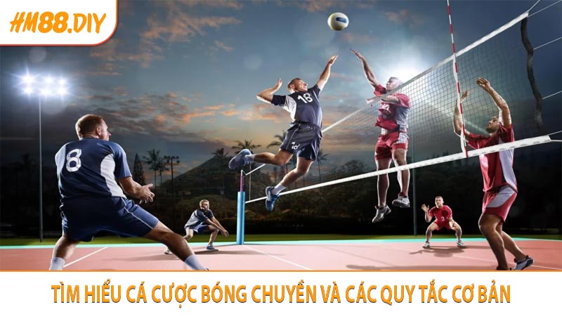 Tìm hiểu cá cược bóng chuyền và các quy tắc cơ bản